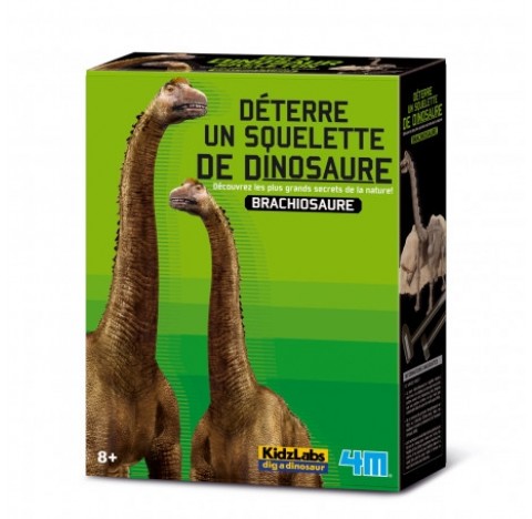 Kit de fouille dinosaure, je découvre les Brachiosaures