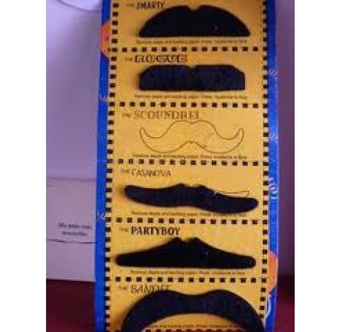 set de 6 fausses moustaches toutes différentes