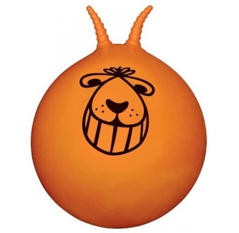 Grand Ballon sauteur, pour enfant énergique de plus de 5 ans!