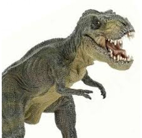 Figurine dinosaure Papo le Tyranosaure Rex  vert