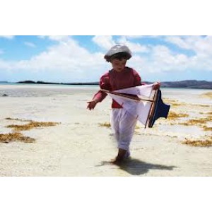 Voilier en bois navigable sur bassin,  coque de couleur bleue, voile blanche, fabriqué en France, 30 cm